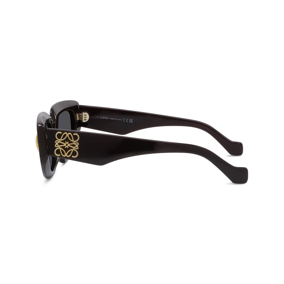 Geometric Acetate Sunglasses