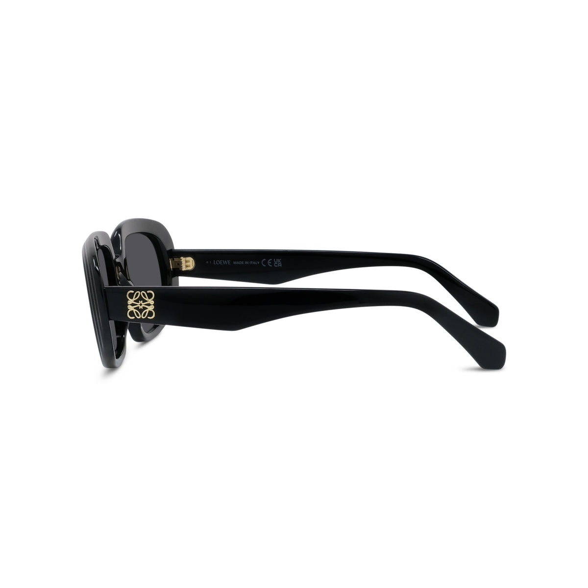 Black Geometric Acetate Sunglasses