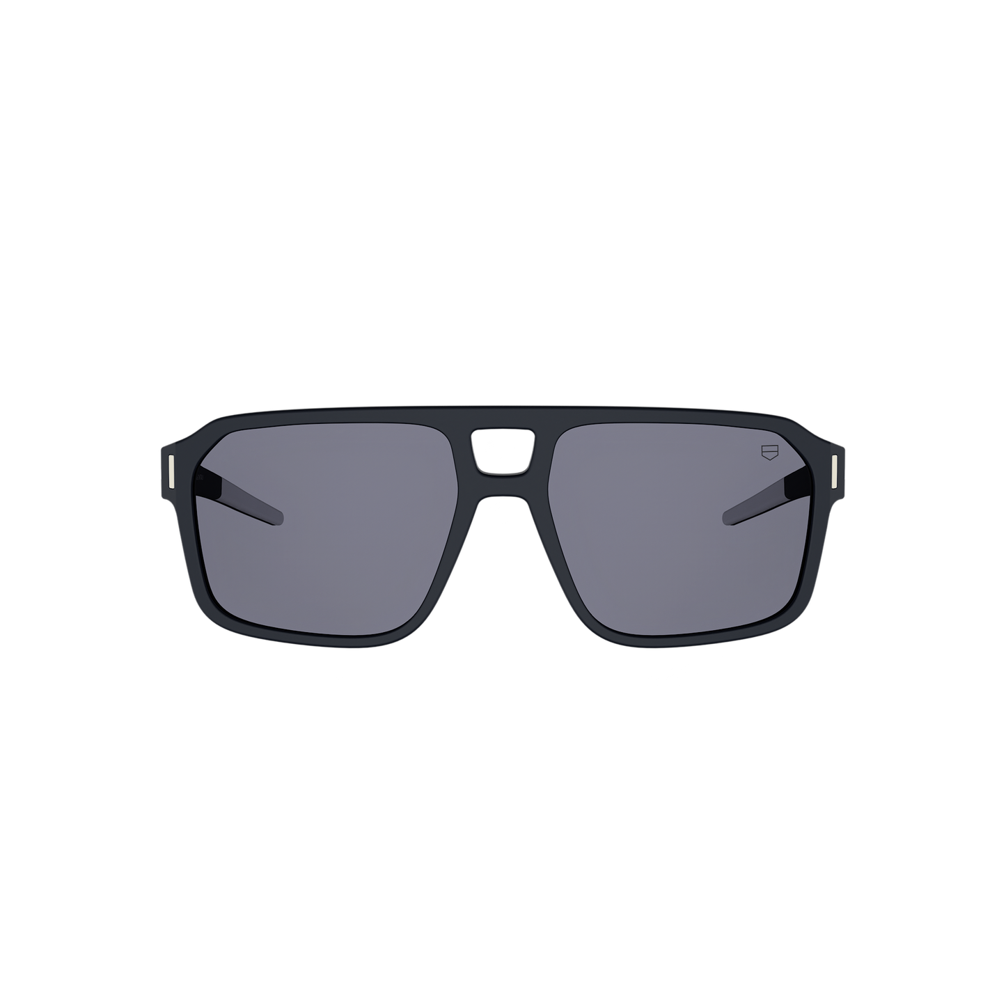 Black Pilot Acetate Sunglasses