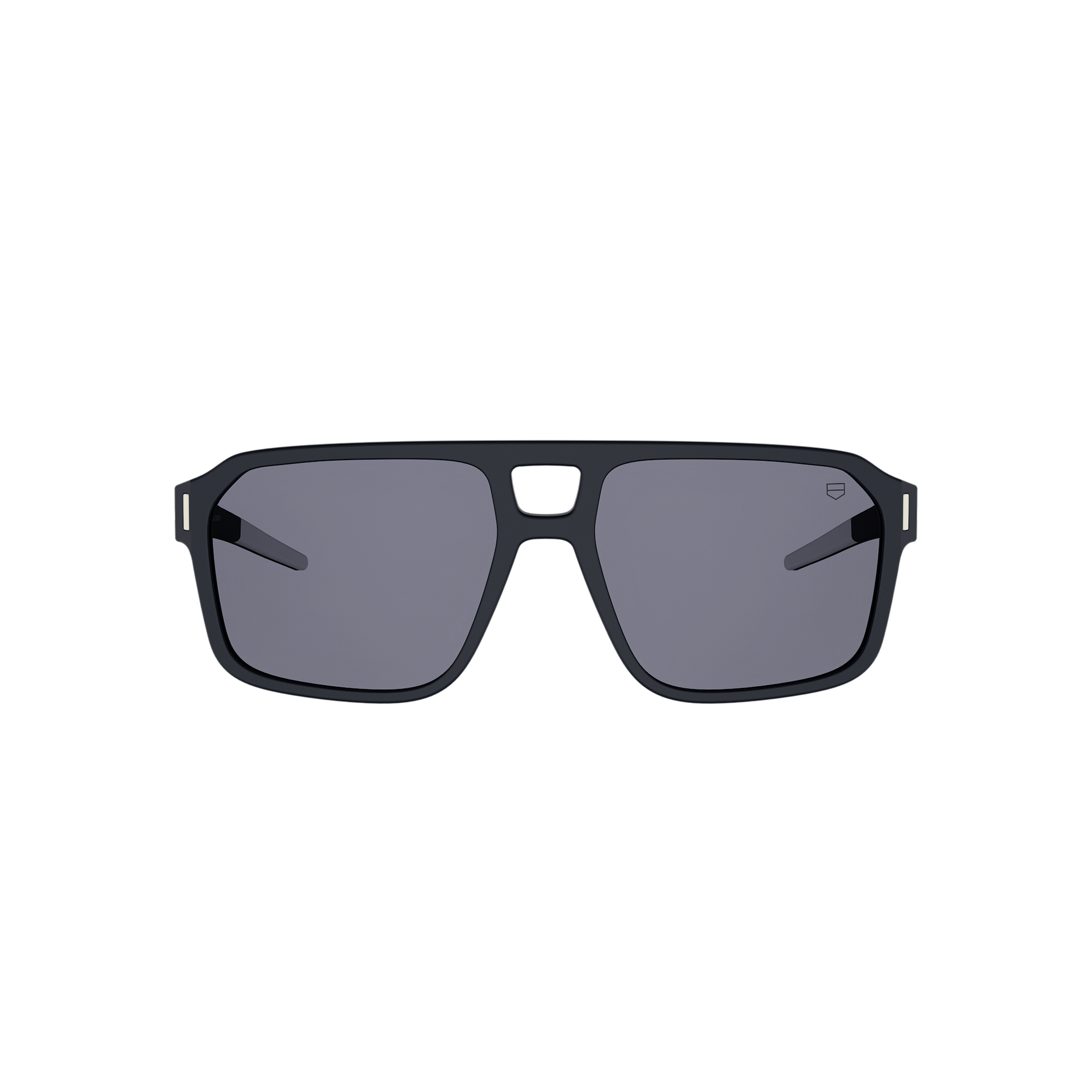 Black Pilot Acetate Sunglasses