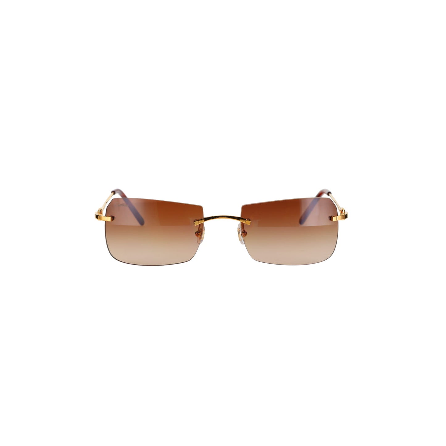 CT0006RS C Décor Sunglasses