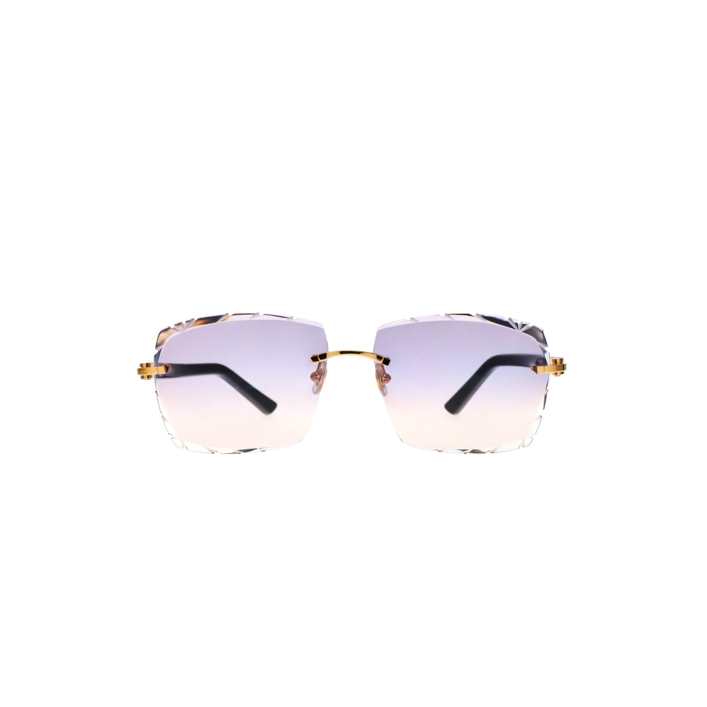 CT0048O Cartier Custom C Décor Acetate Sunglasses