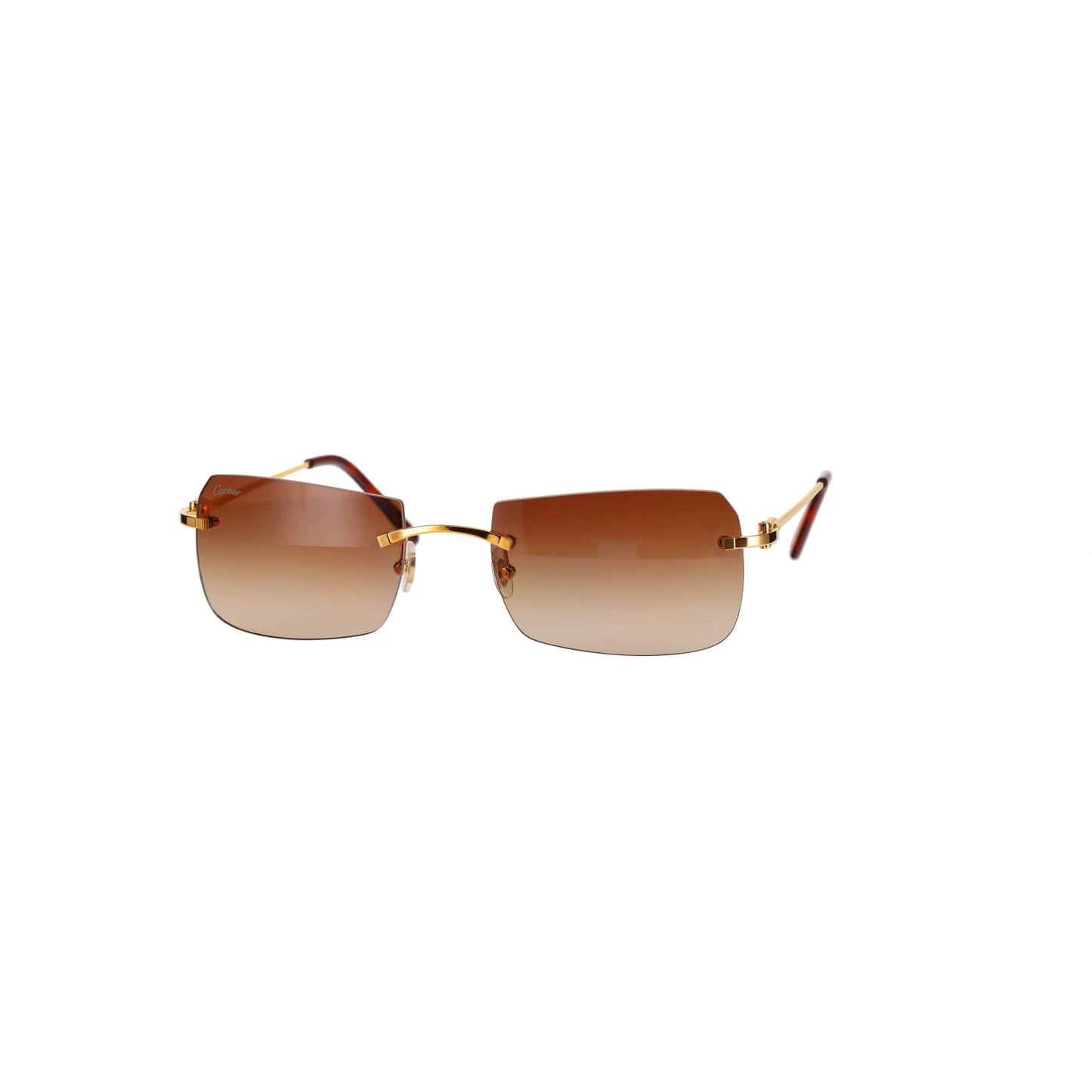 CT0006RS C Décor Sunglasses