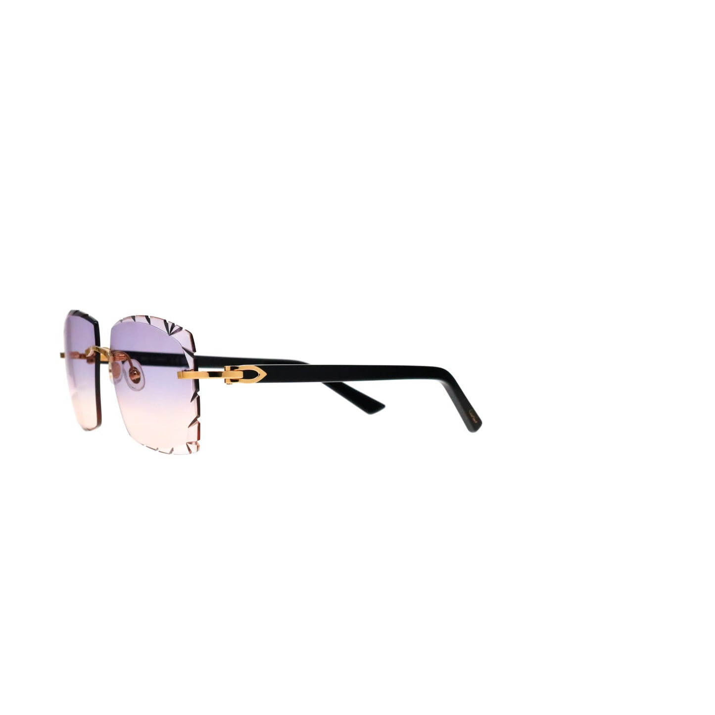 CT0048O Cartier Custom C Décor Acetate Sunglasses