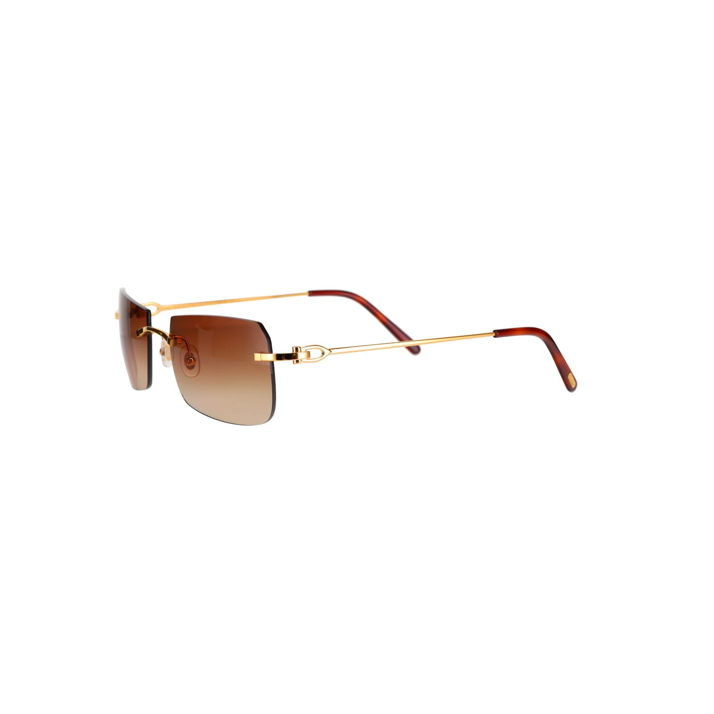 CT0006RS C Décor Sunglasses