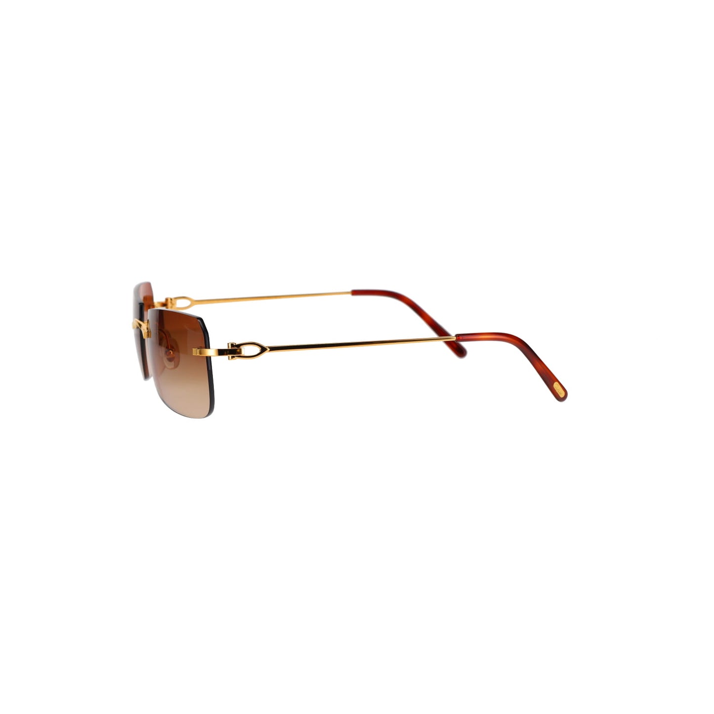 CT0006RS C Décor Sunglasses