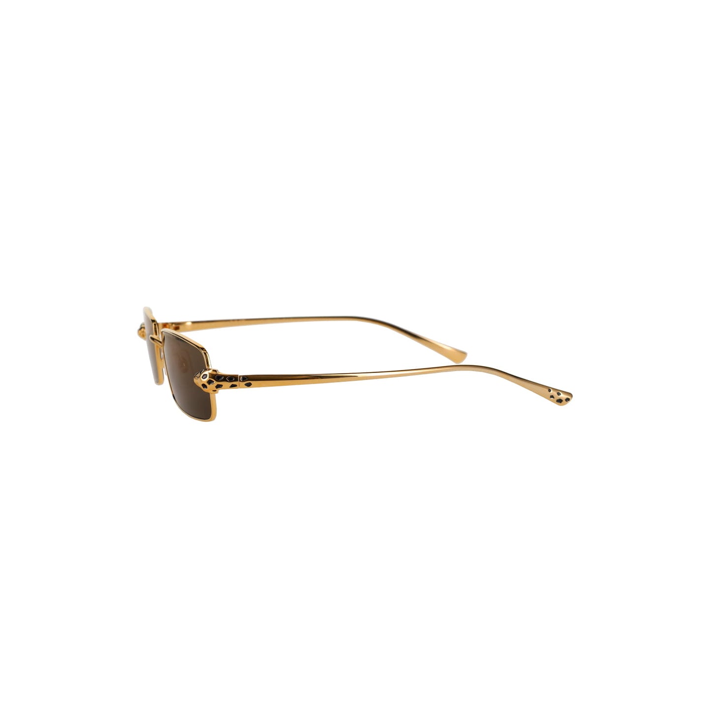 CT0473S Panthère Sunglasses