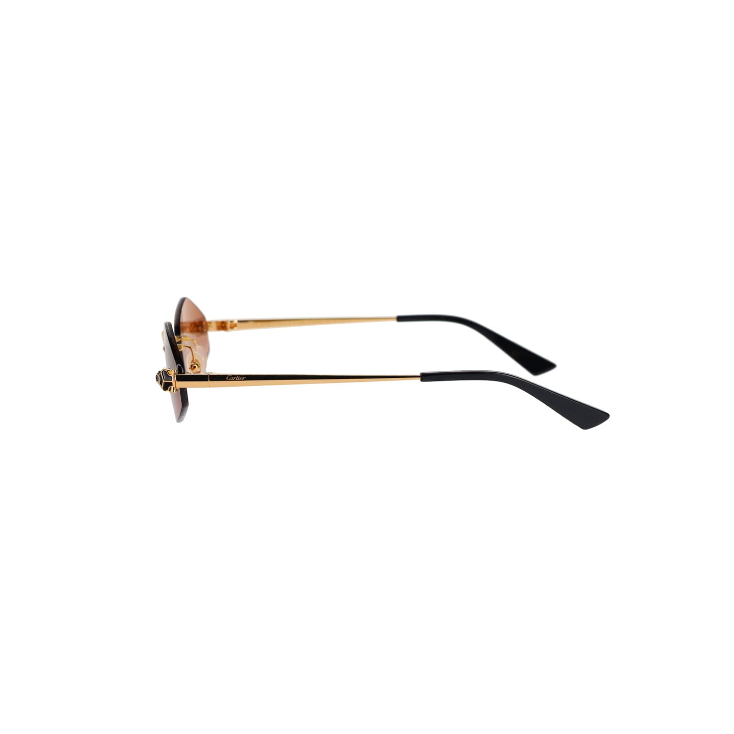 CT0433S Panthère Sunglasses
