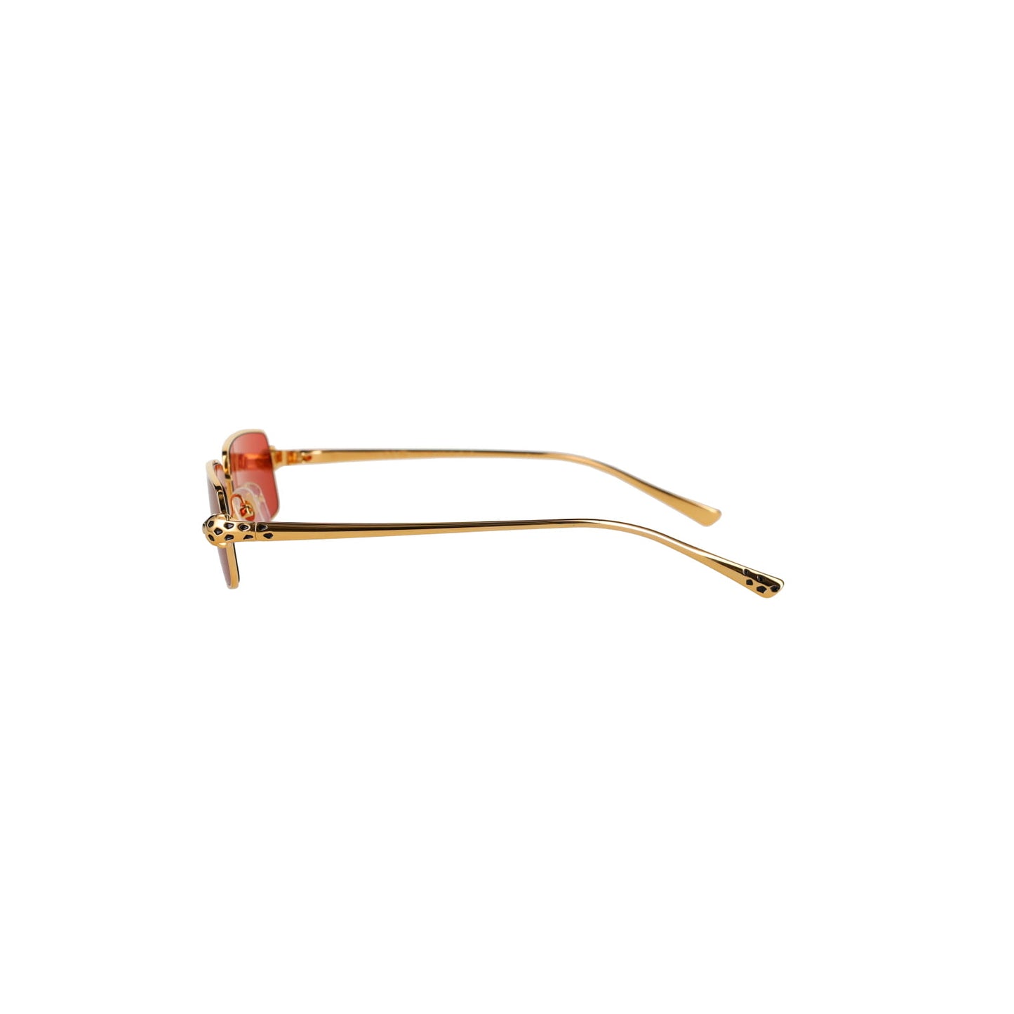 CT0473S Panthère Sunglasses