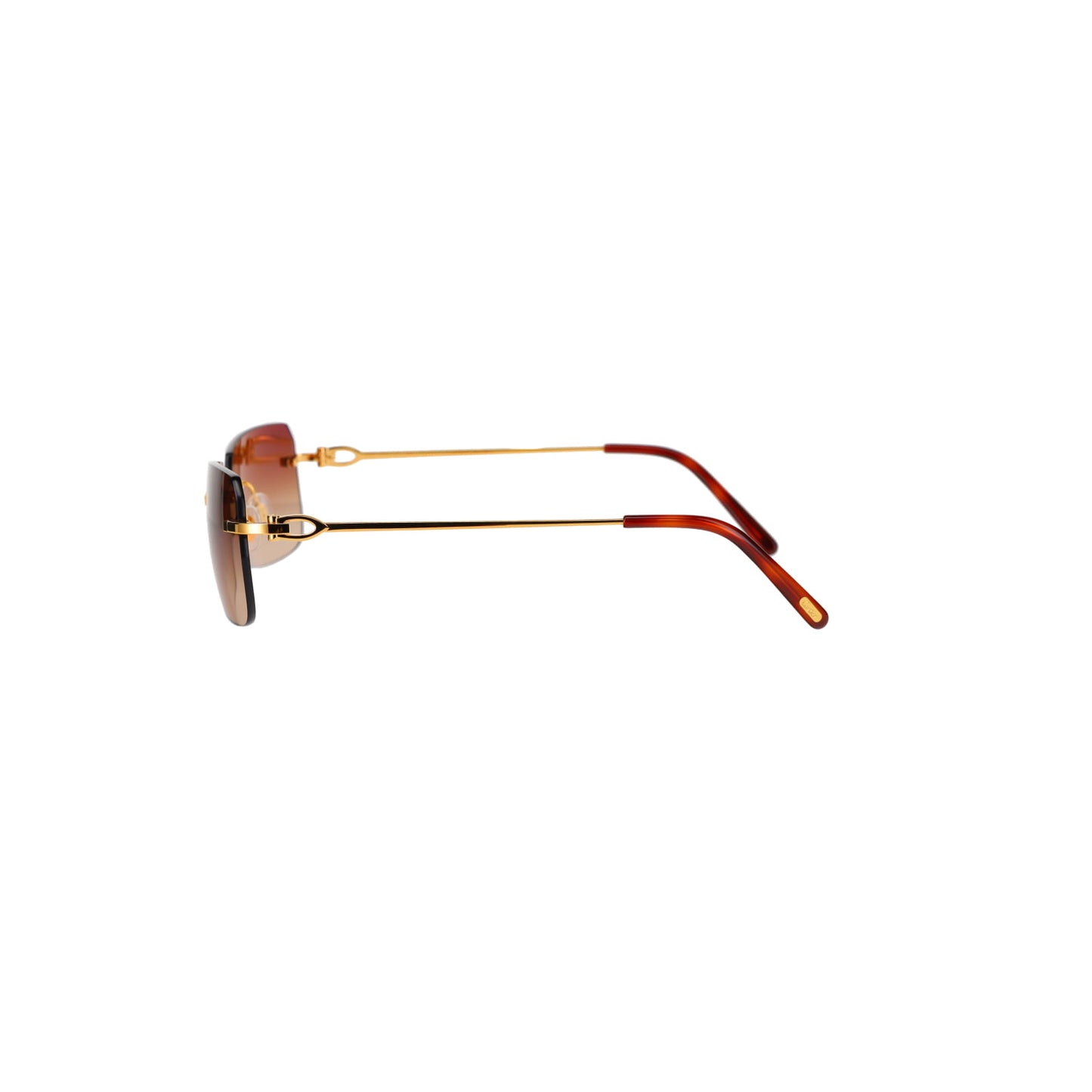 CT0006RS C Décor Sunglasses