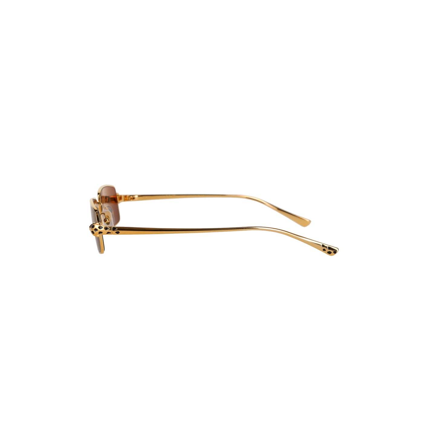 CT0473S Panthère Sunglasses