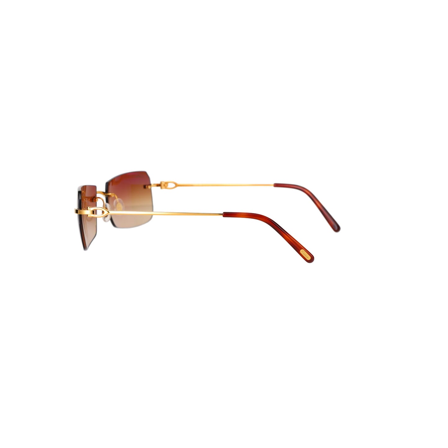 CT0006RS C Décor Sunglasses