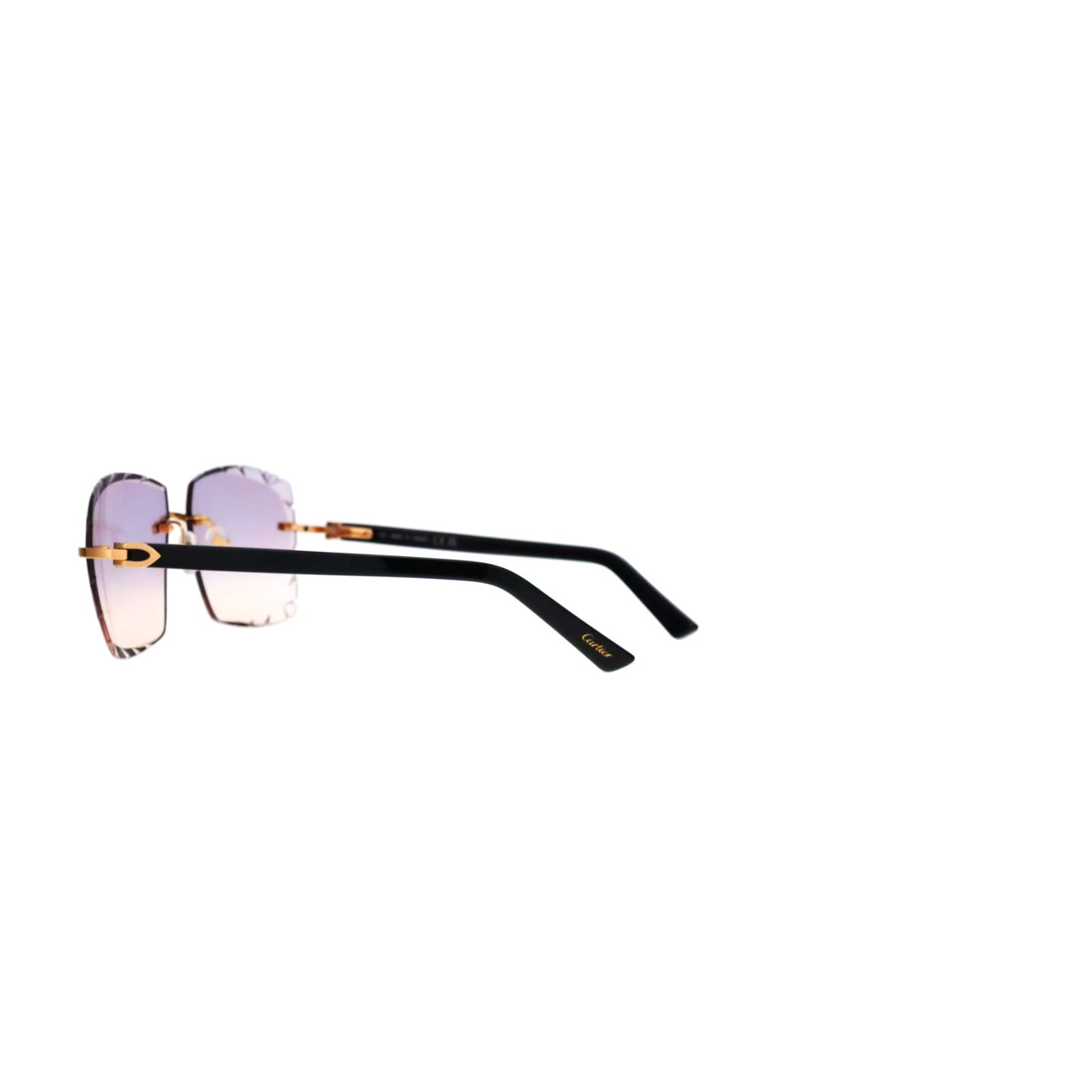 CT0048O Cartier Custom C Décor Acetate Sunglasses