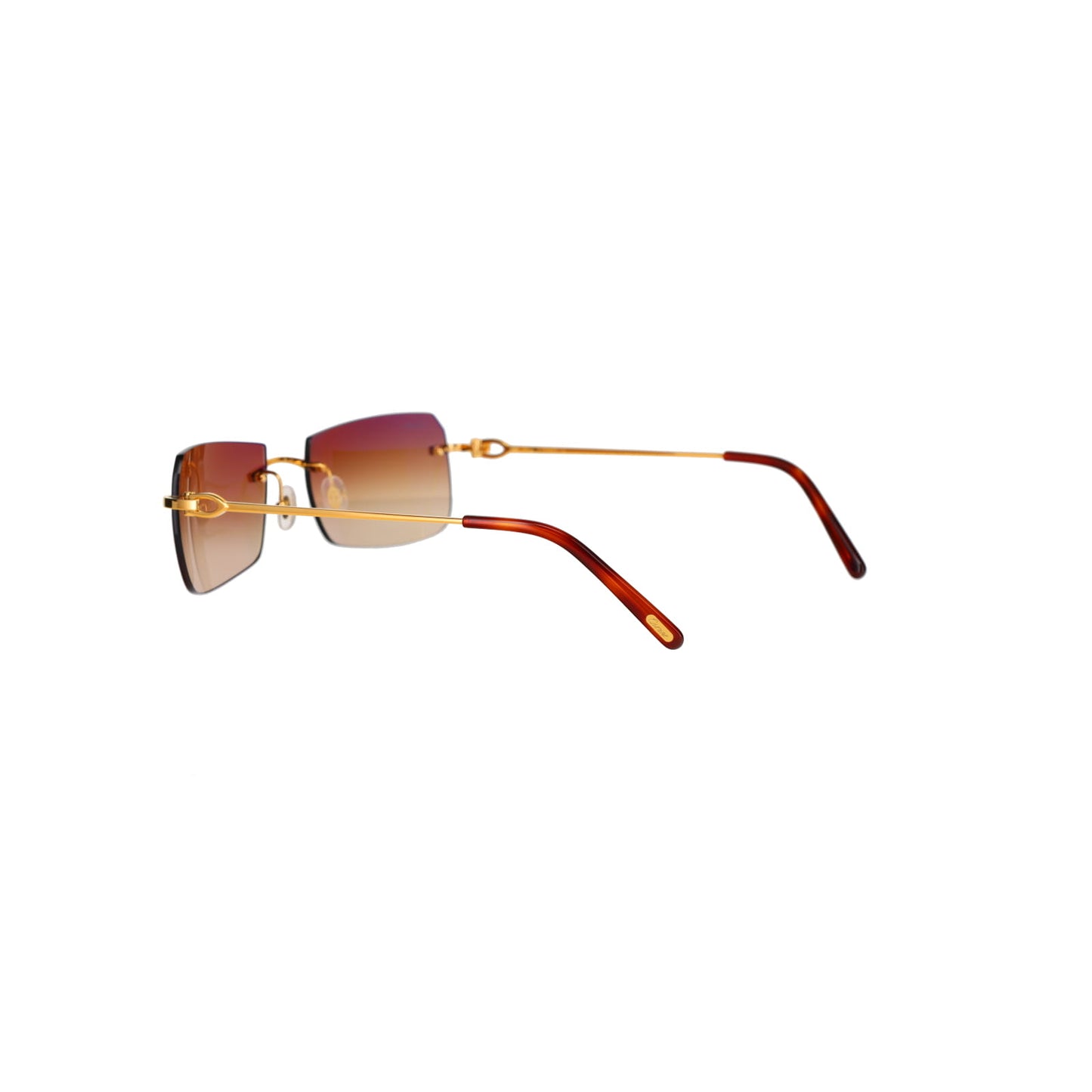 CT0006RS C Décor Sunglasses