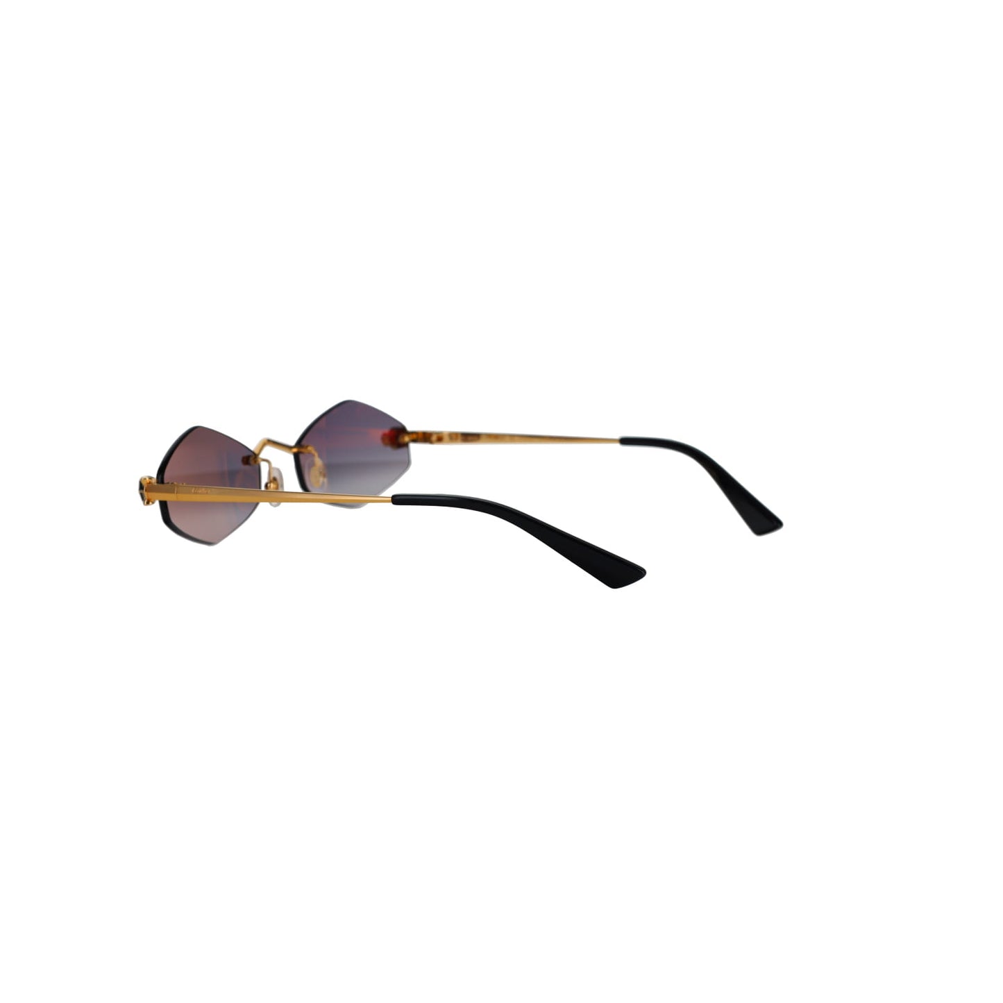 CT0433S Panthère Sunglasses
