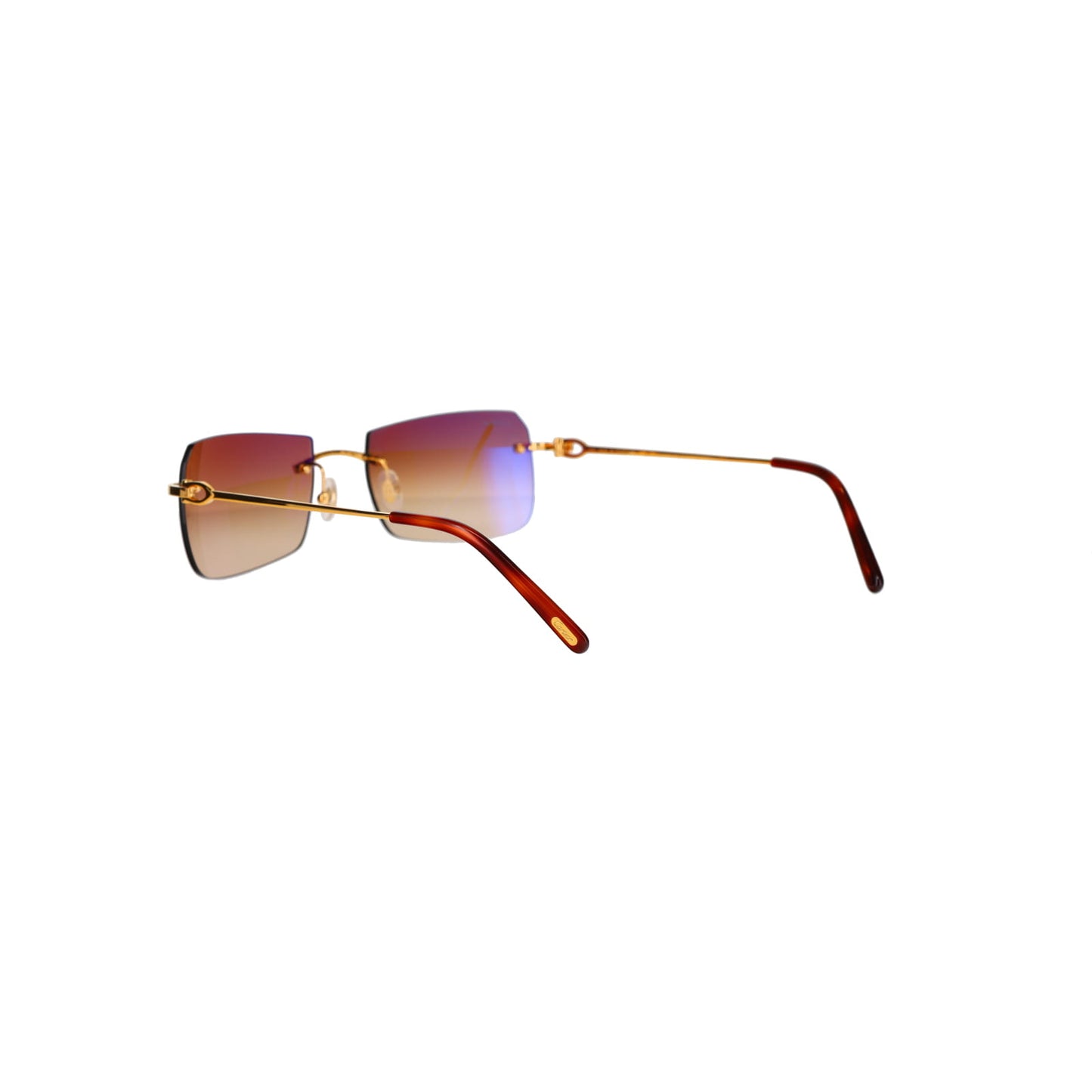 CT0006RS C Décor Sunglasses