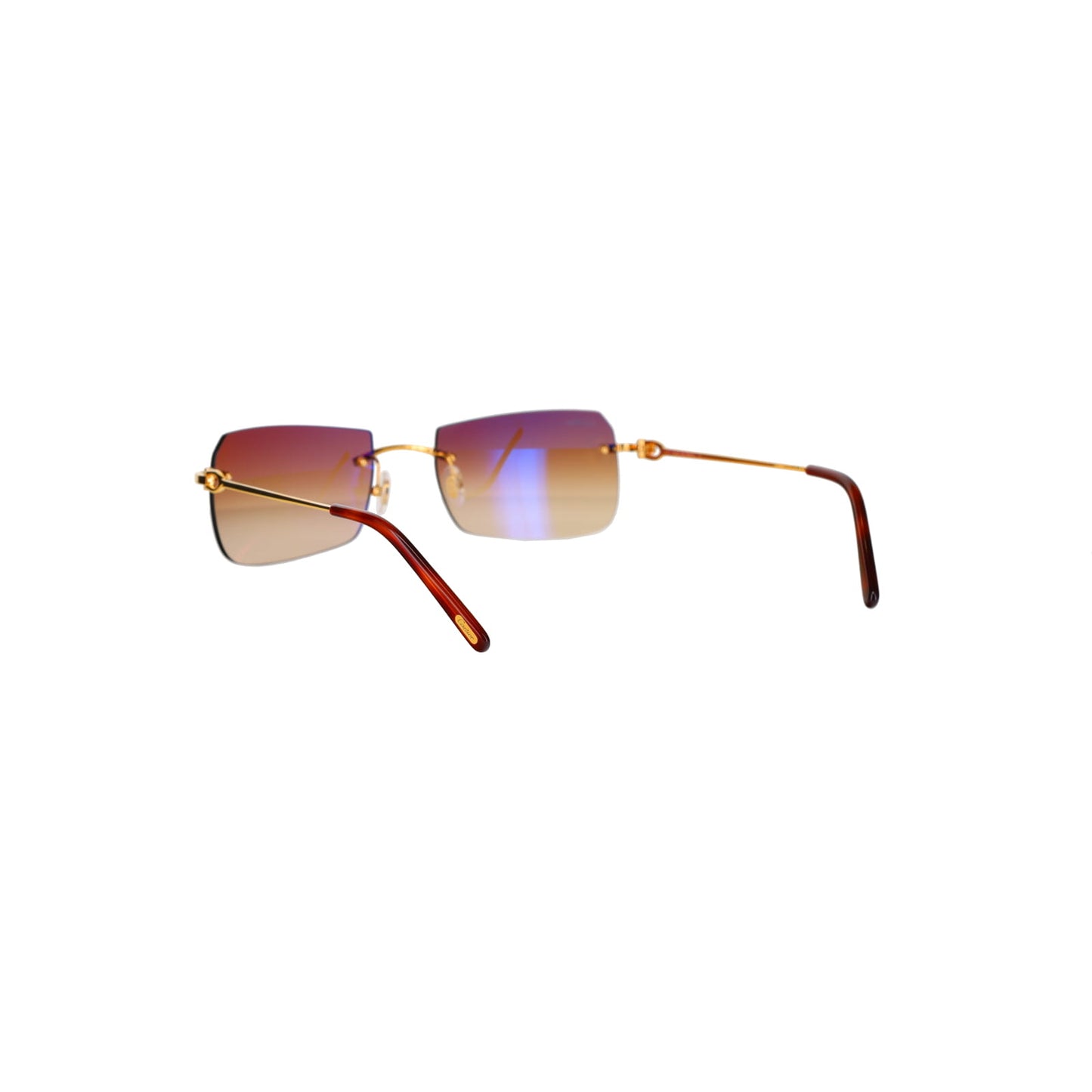 CT0006RS C Décor Sunglasses