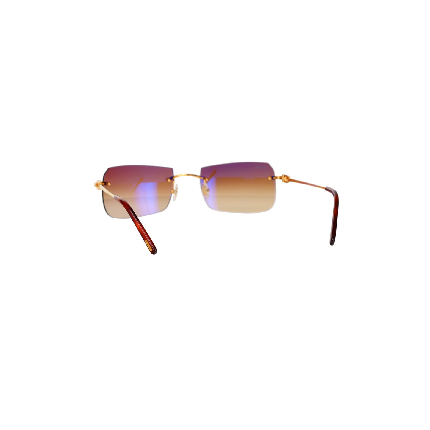 CT0006RS C Décor Sunglasses