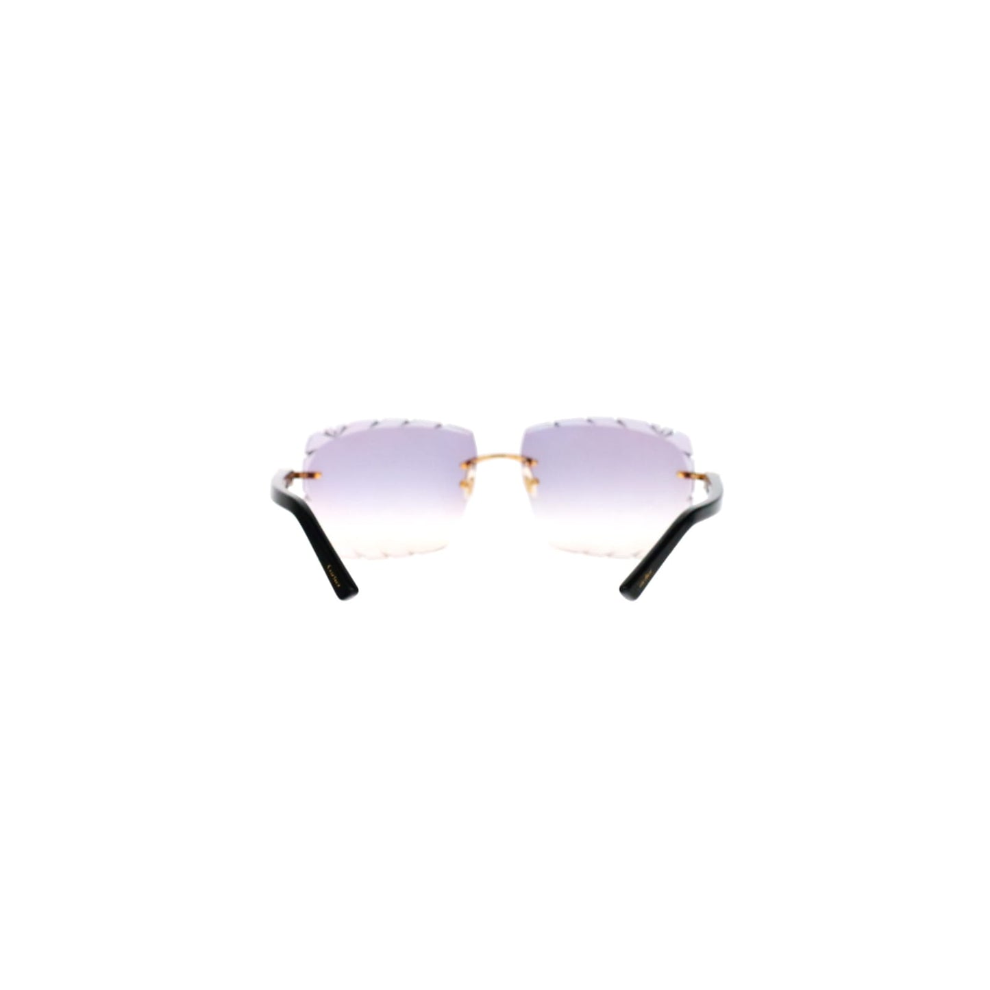 CT0048O Cartier Custom C Décor Acetate Sunglasses