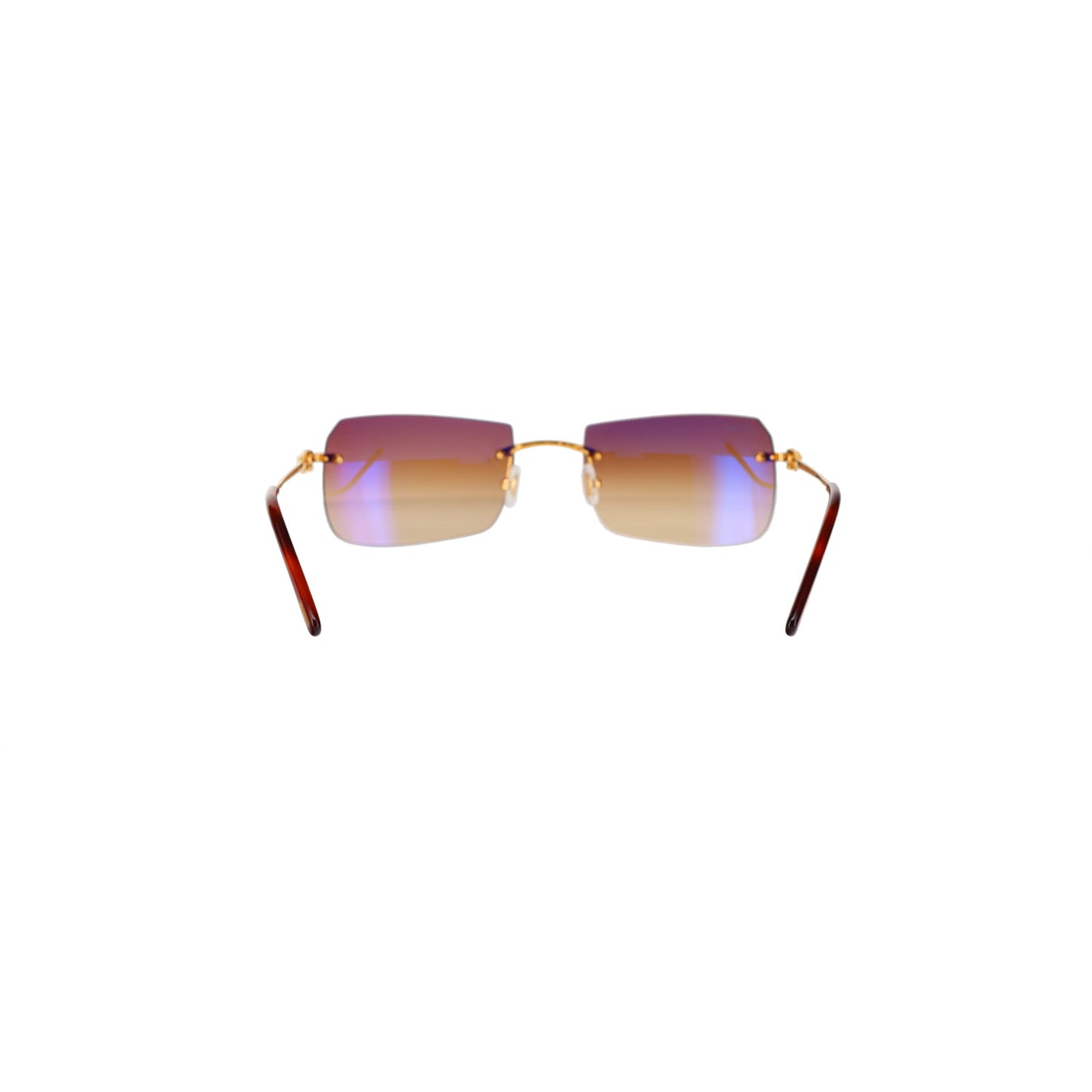 CT0006RS C Décor Sunglasses