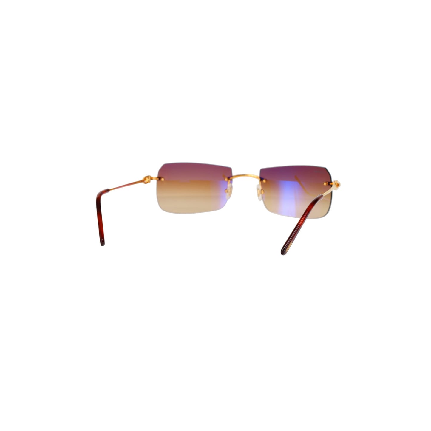 CT0006RS C Décor Sunglasses