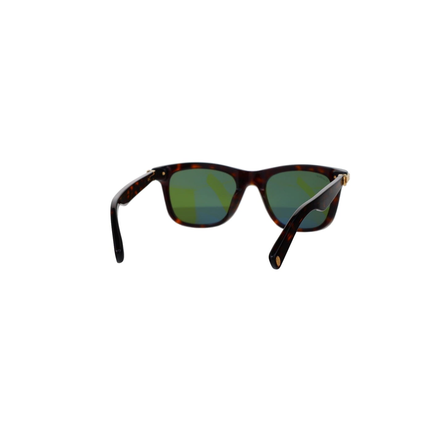 CT0396S Contemporary Acetate Sunglasses