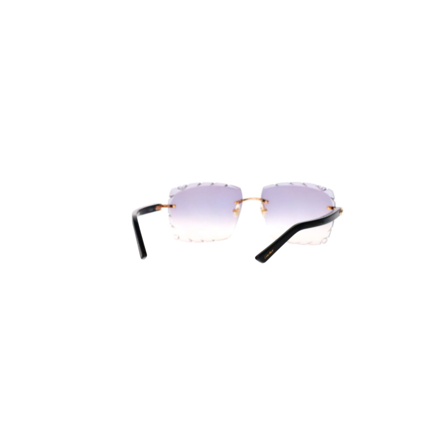 CT0048O Cartier Custom C Décor Acetate Sunglasses