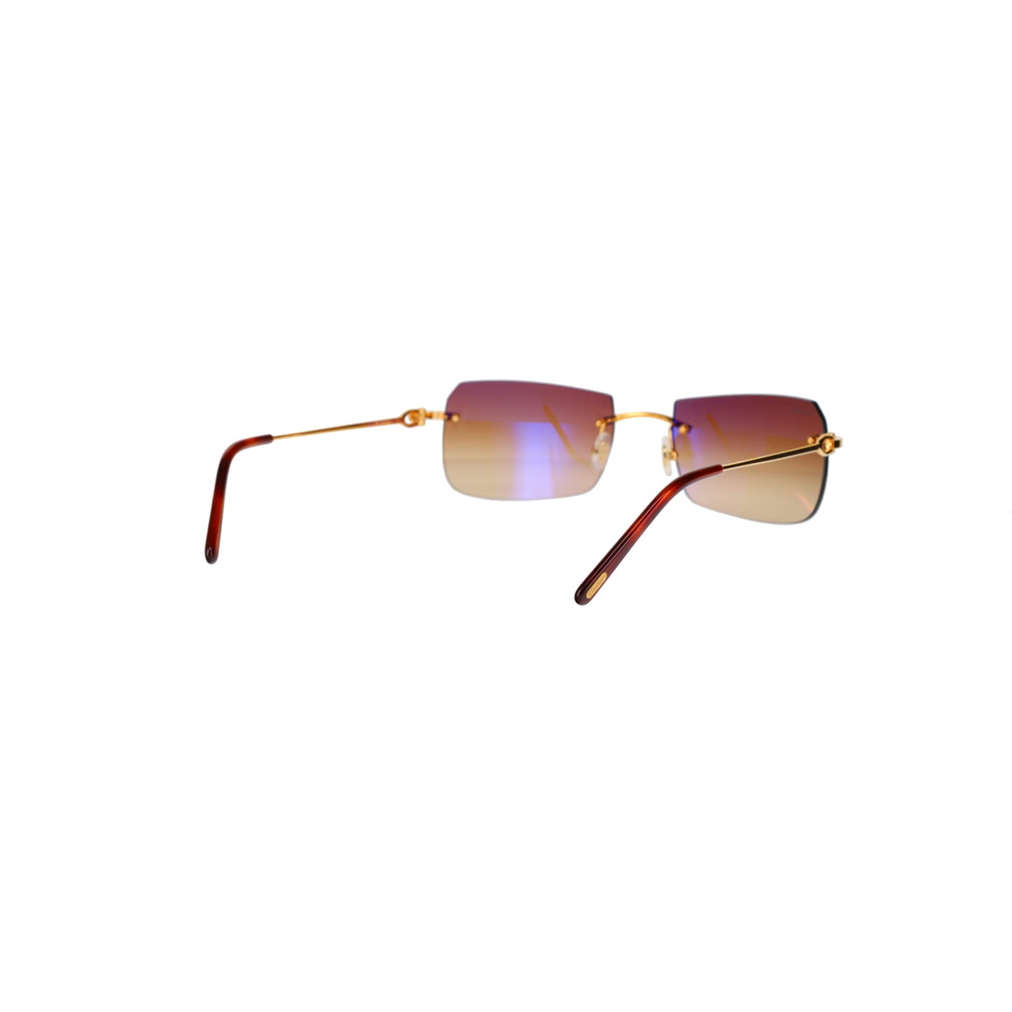 CT0006RS C Décor Sunglasses