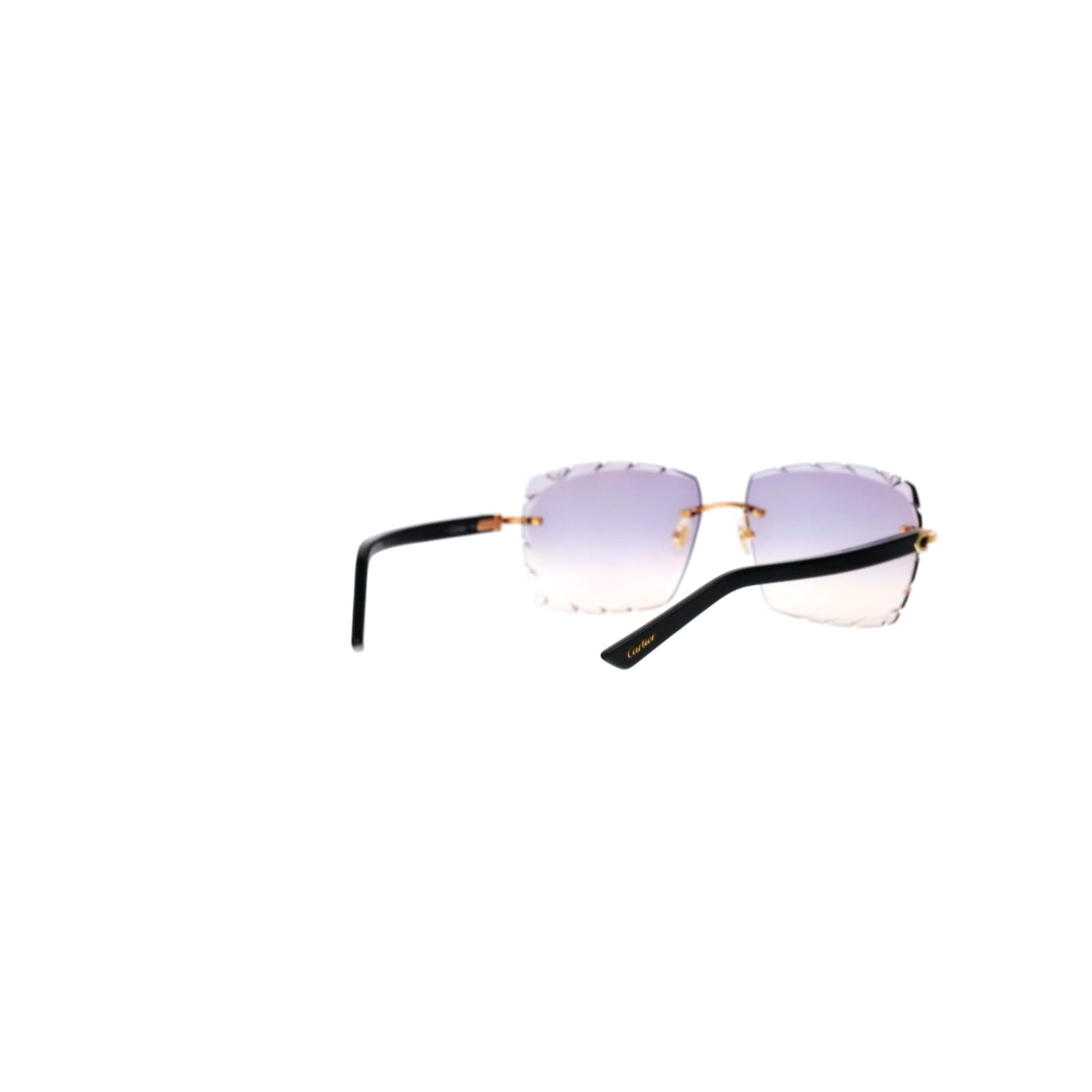 CT0048O Cartier Custom C Décor Acetate Sunglasses
