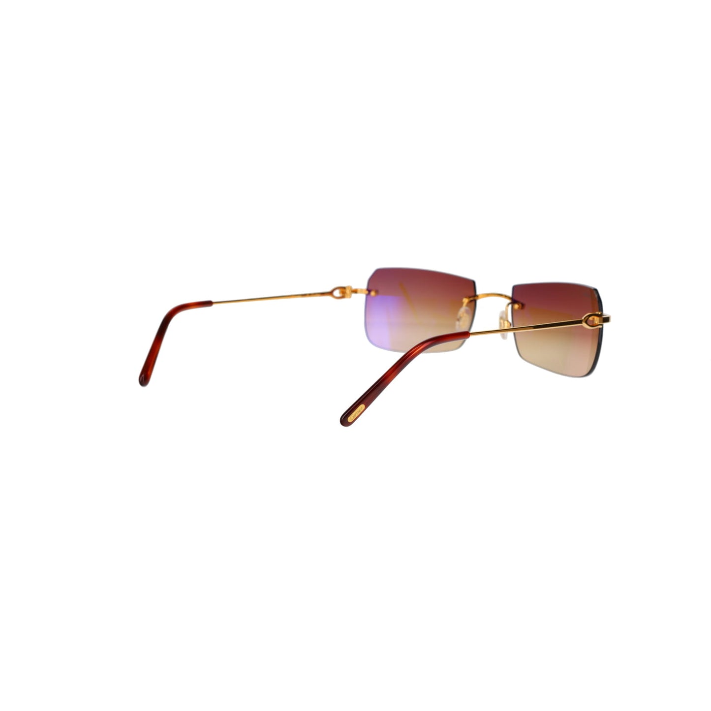CT0006RS C Décor Sunglasses