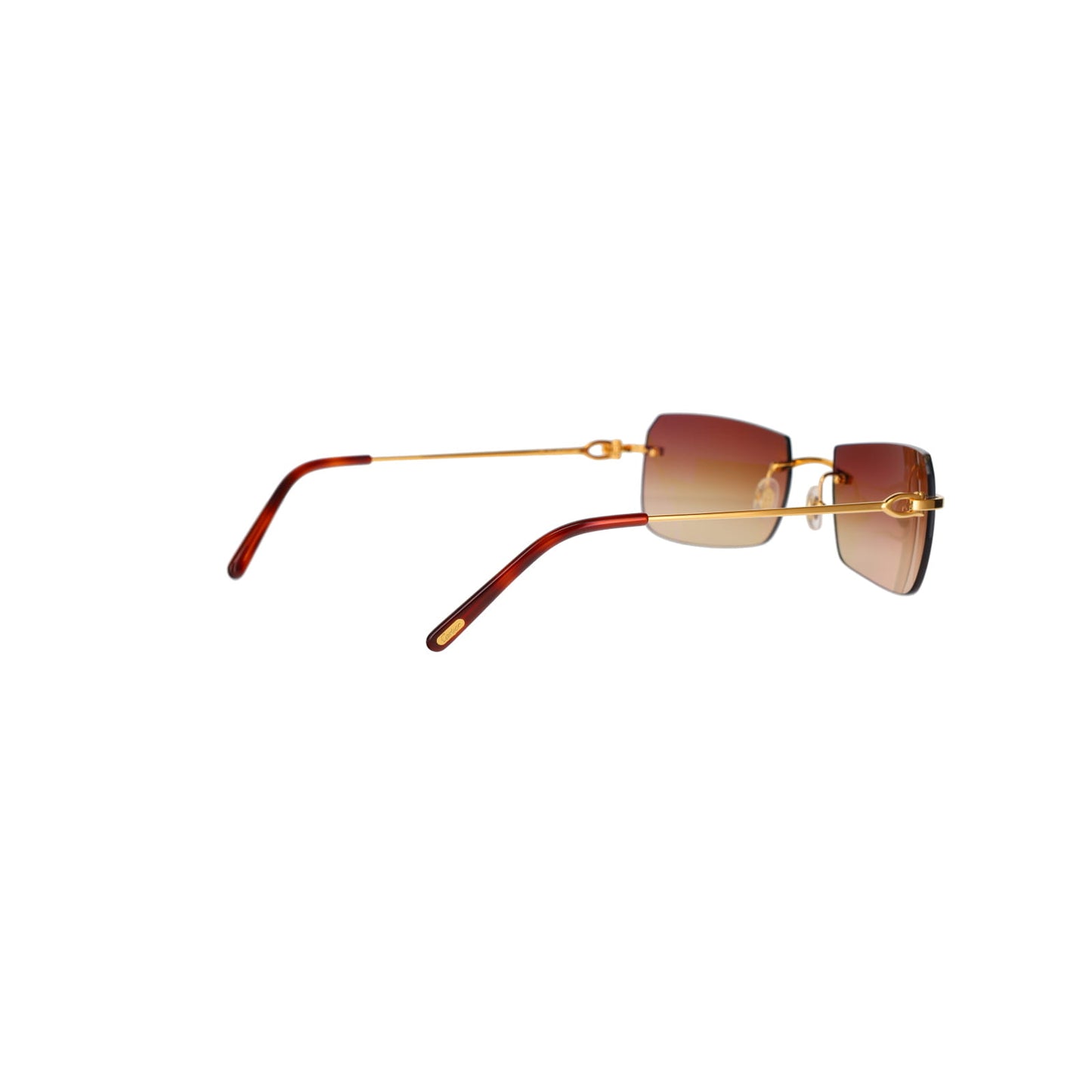 CT0006RS C Décor Sunglasses