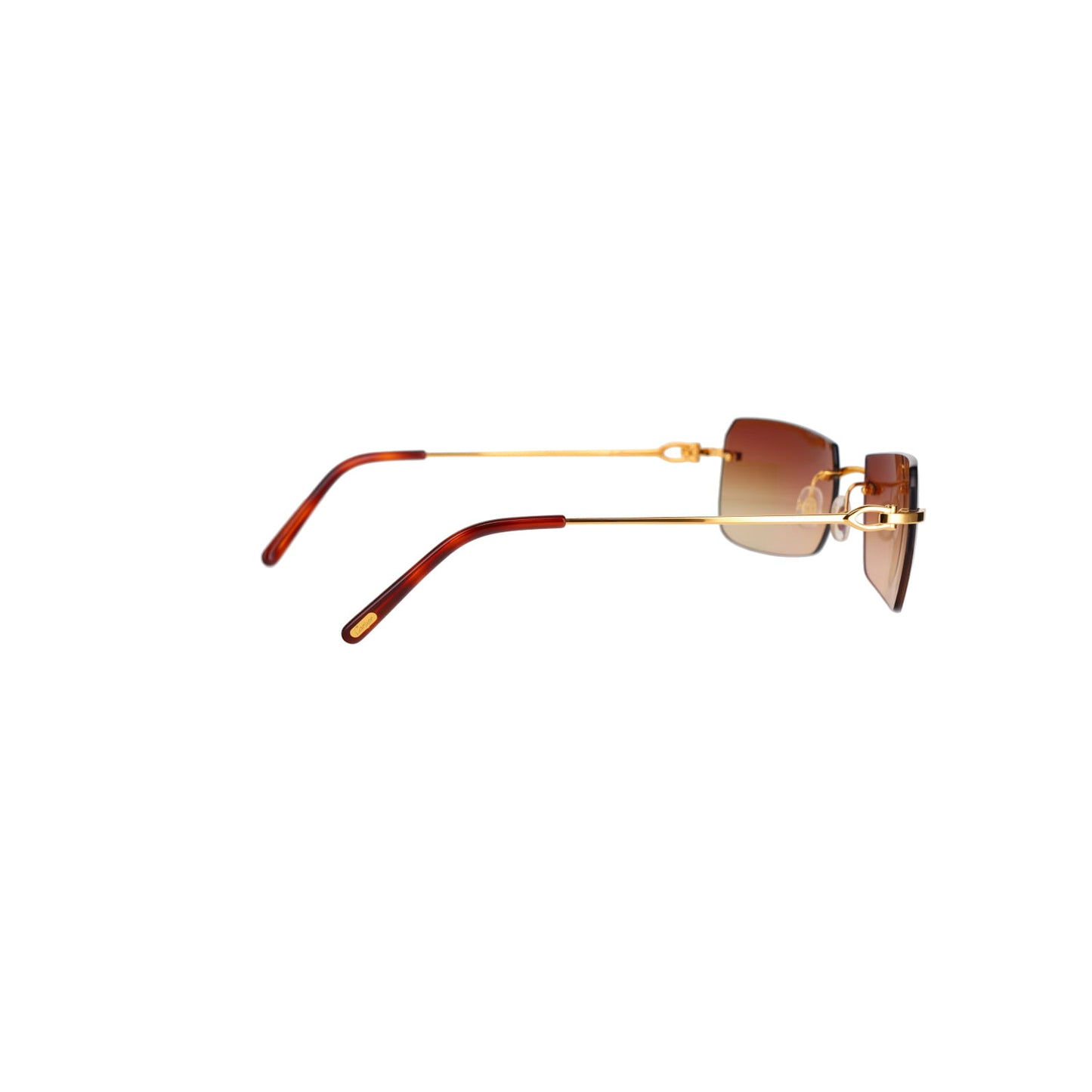 CT0006RS C Décor Sunglasses