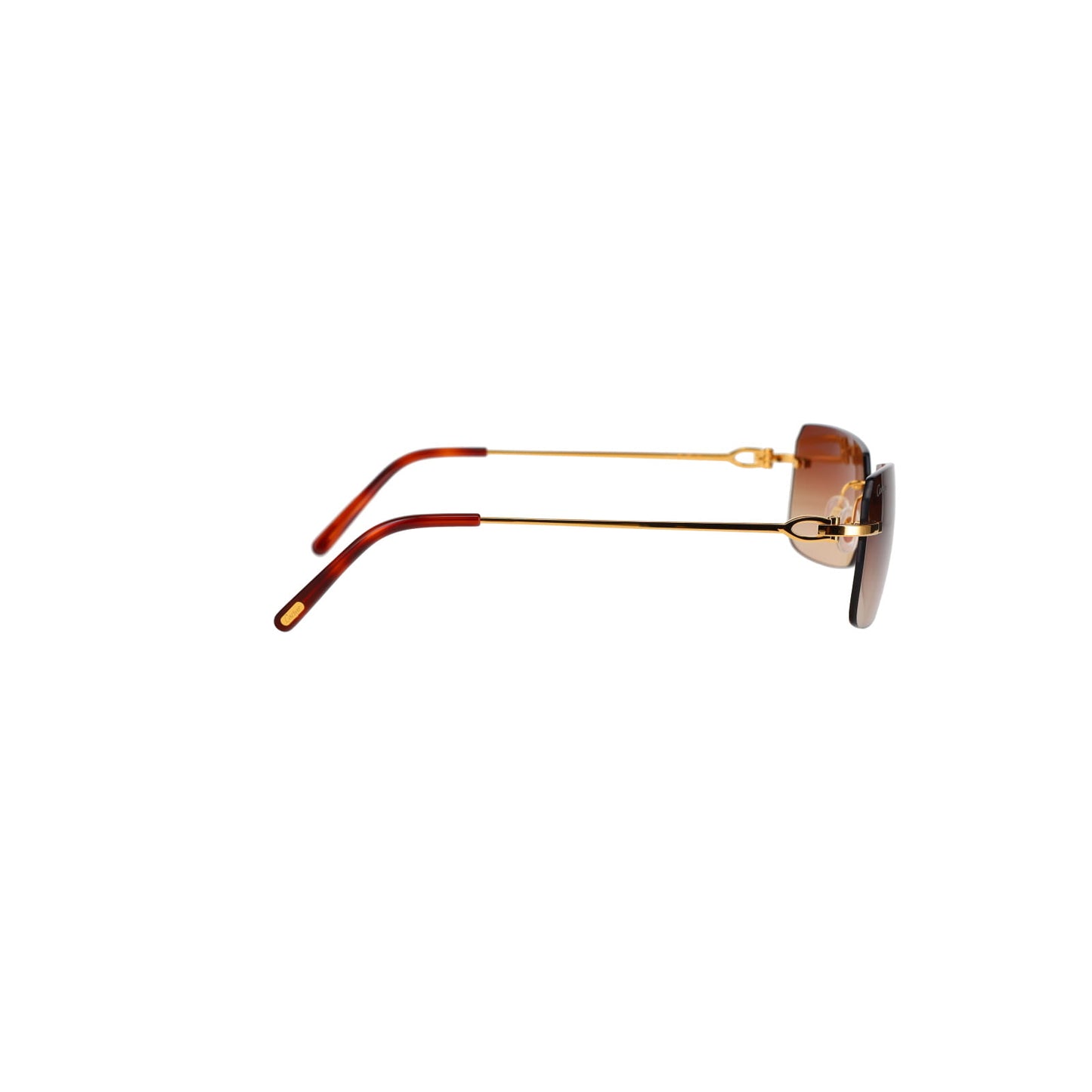 CT0006RS C Décor Sunglasses
