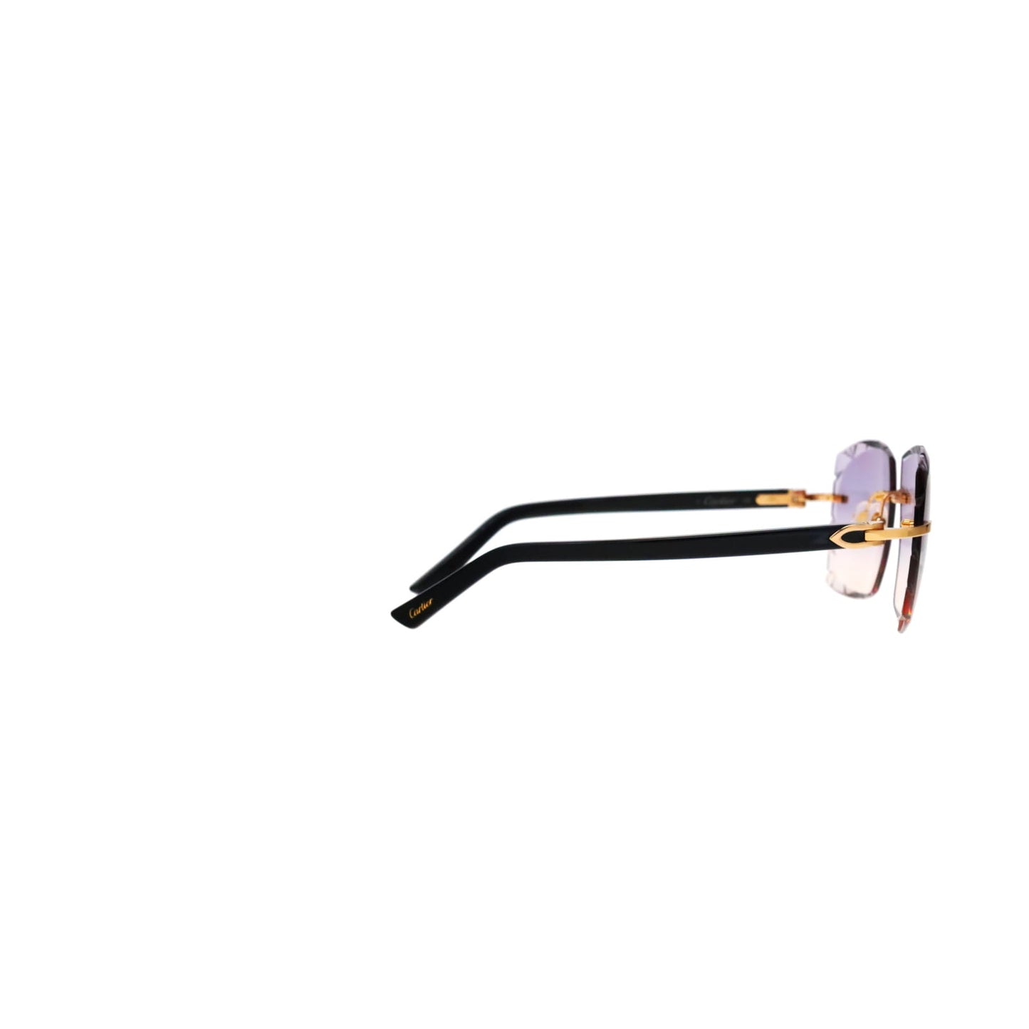 CT0048O Cartier Custom C Décor Acetate Sunglasses