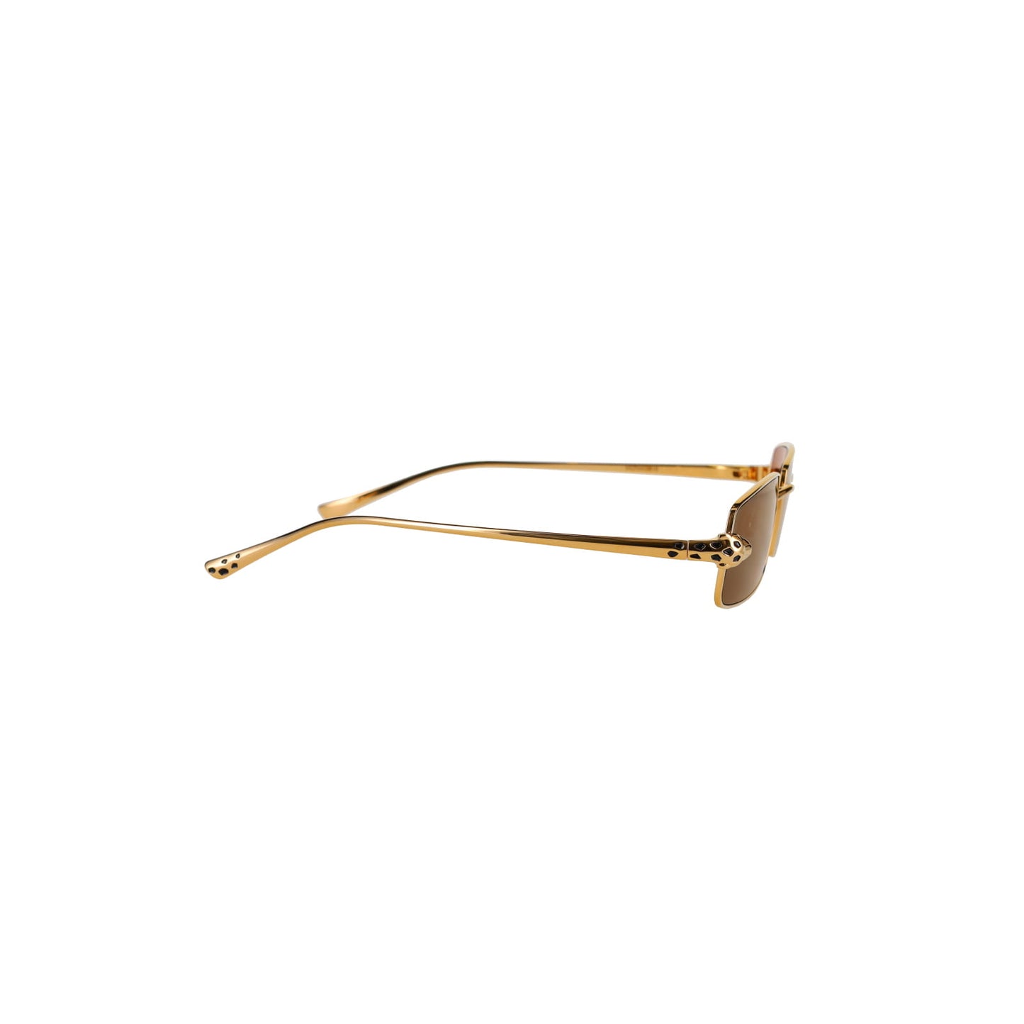 CT0473S Panthère Sunglasses