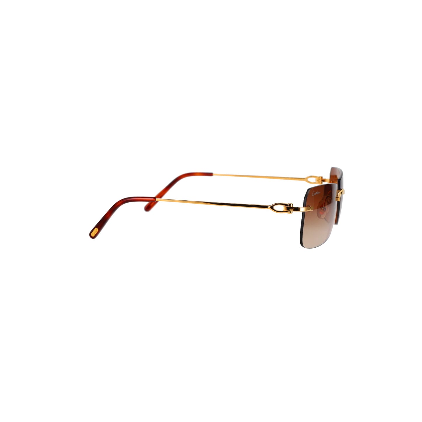 CT0006RS C Décor Sunglasses
