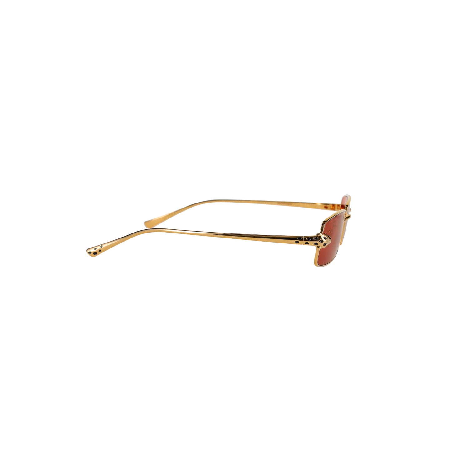 CT0473S Panthère Sunglasses