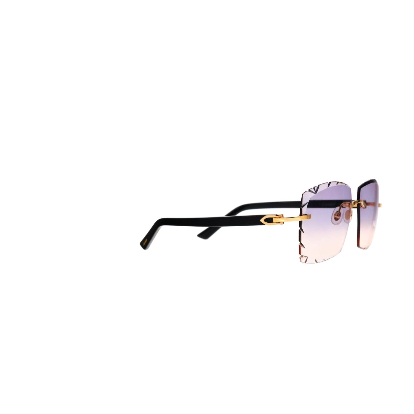 CT0048O Cartier Custom C Décor Acetate Sunglasses