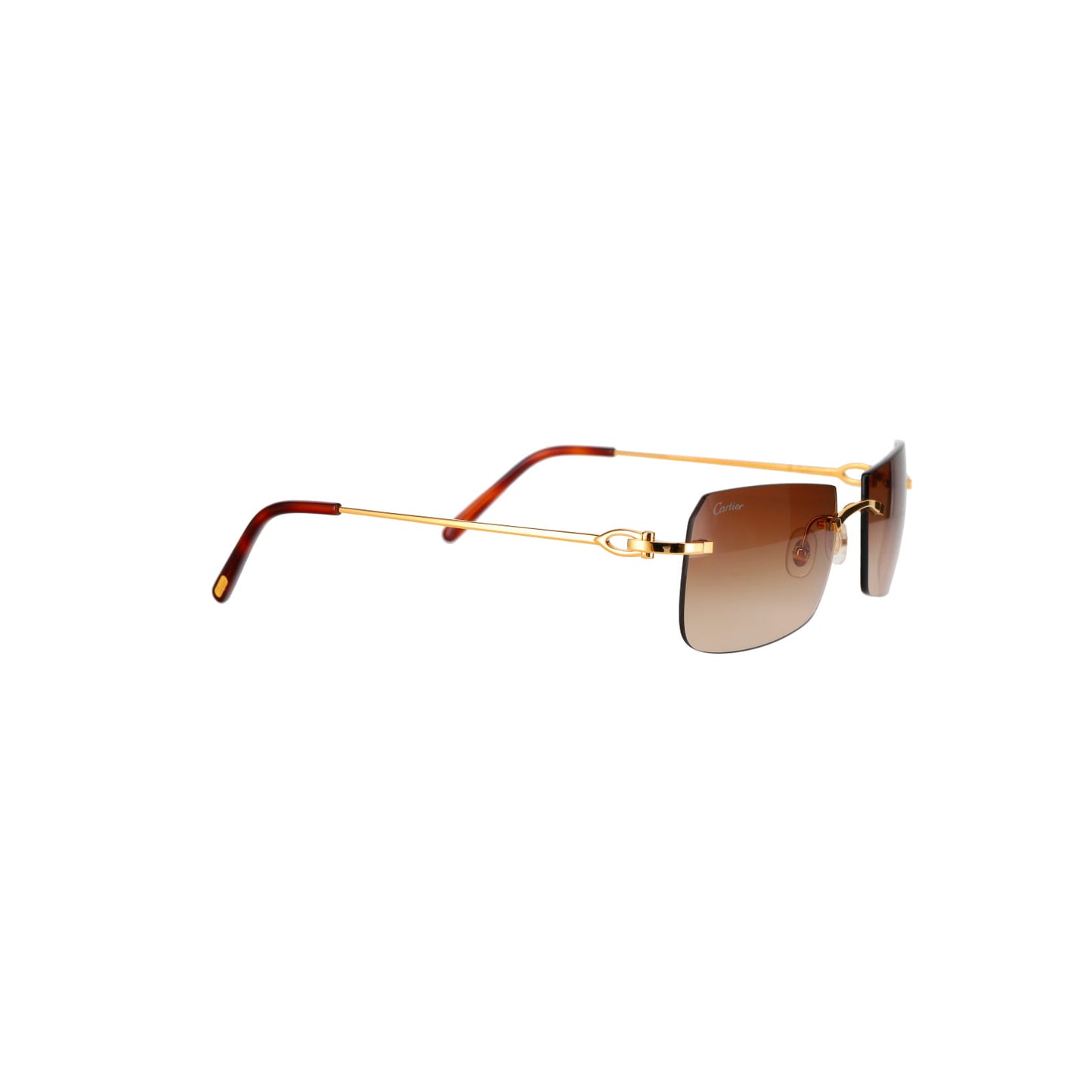 CT0006RS C Décor Sunglasses