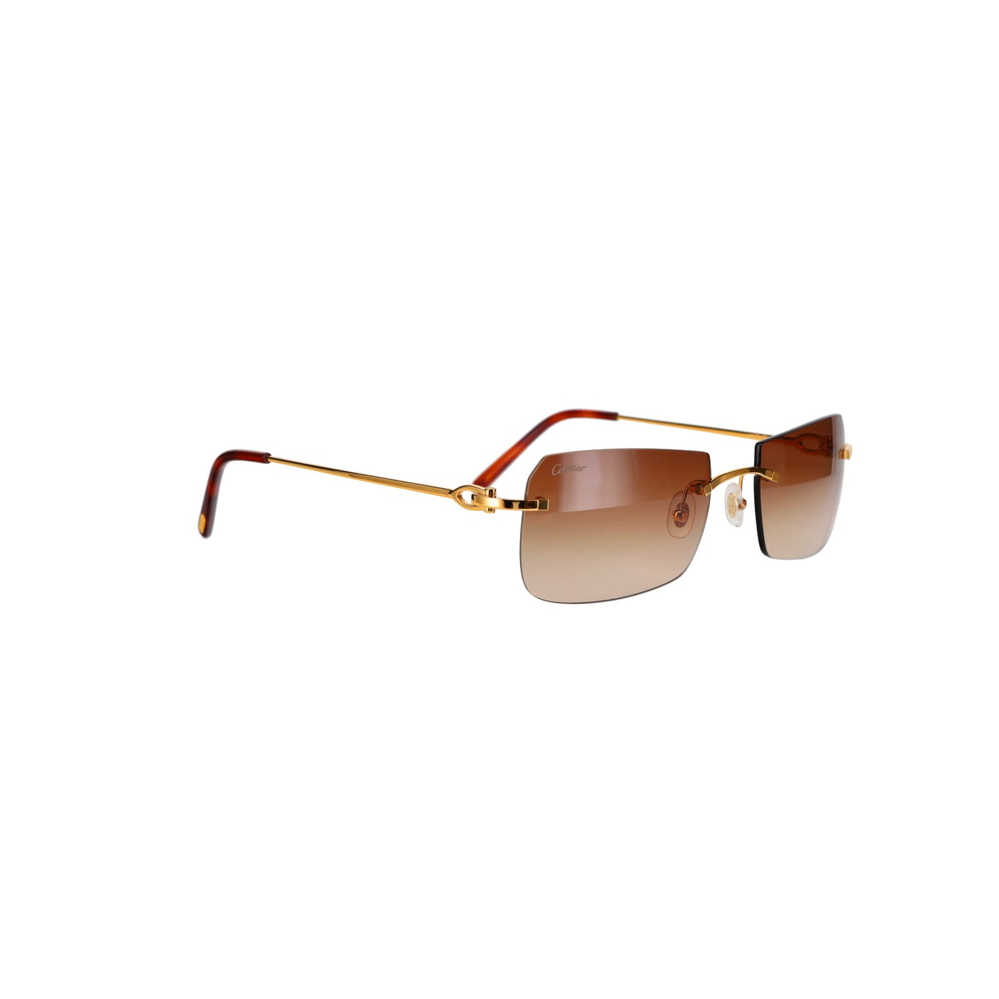 CT0006RS C Décor Sunglasses