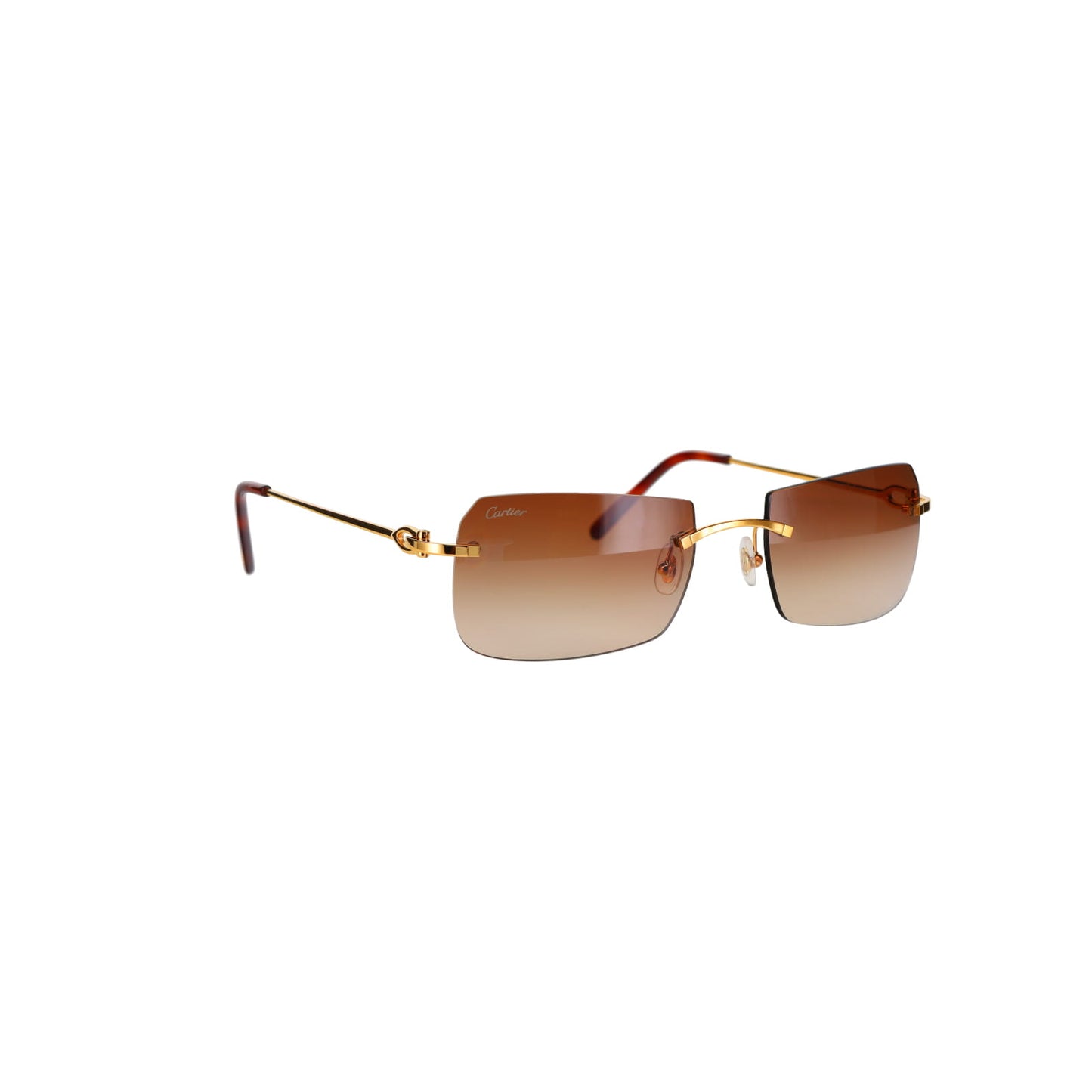 CT0006RS C Décor Sunglasses