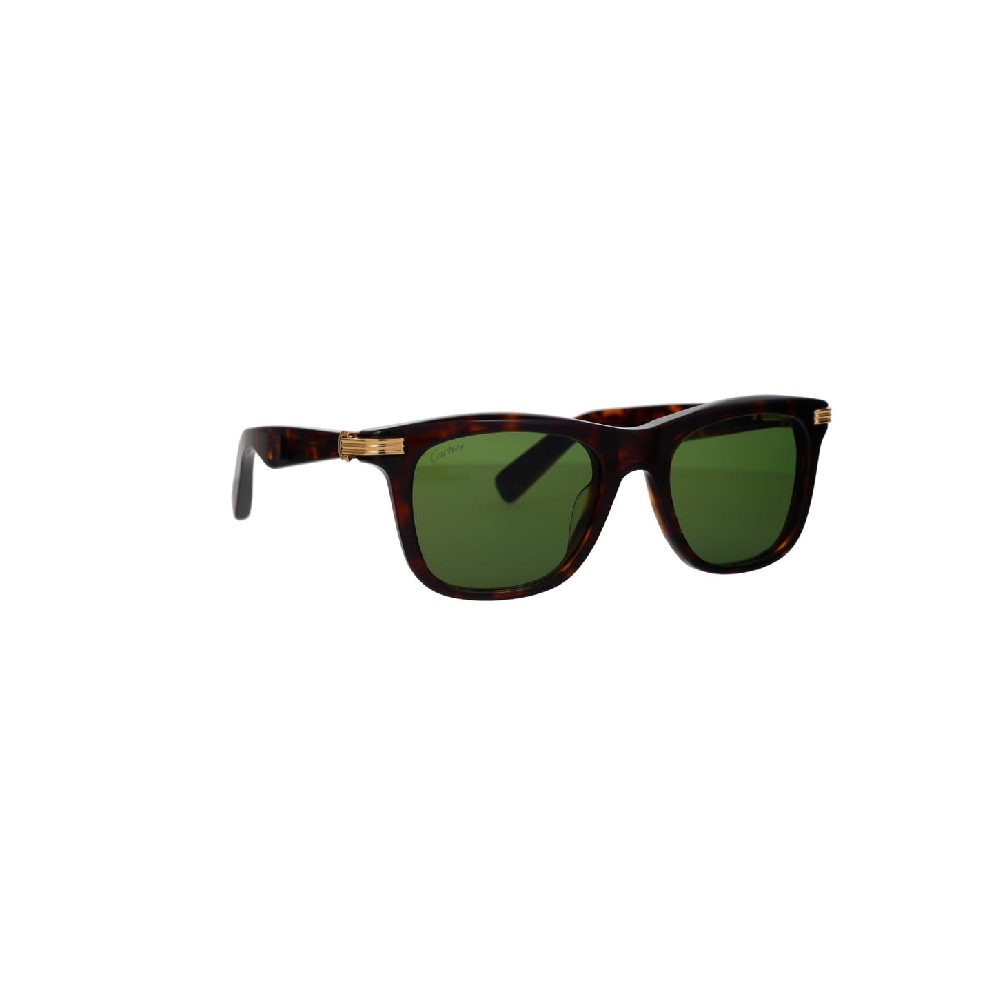 CT0396S Contemporary Acetate Sunglasses
