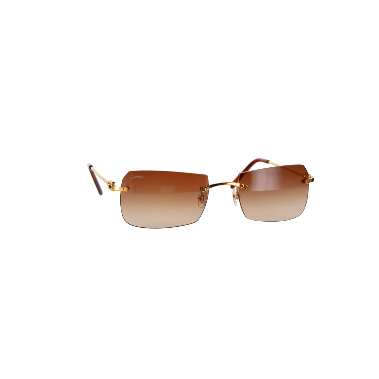 CT0006RS C Décor Sunglasses